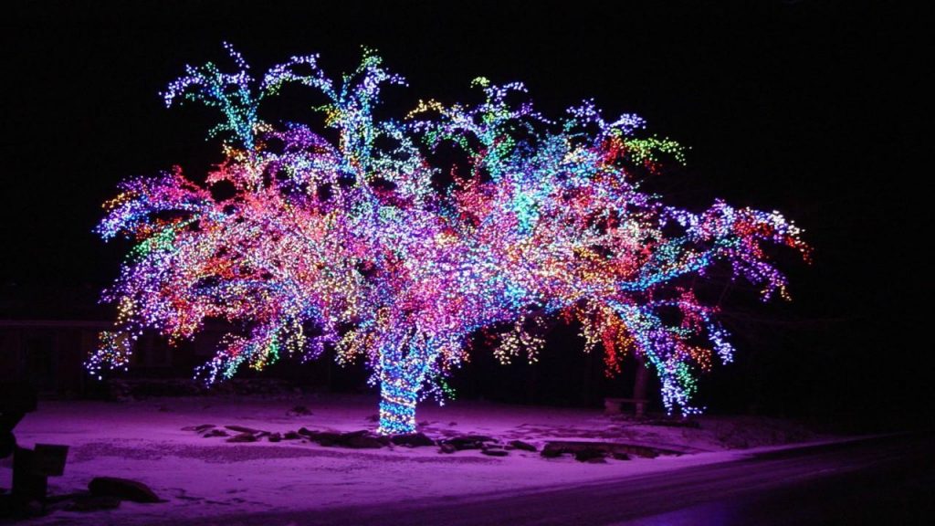 Merry Christmas Lights & Decoration Idea Images 2023
